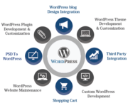 Wordpress Development Services at Really Affordable Cost