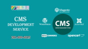 CMS development Service Houston