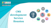 CMS development Service Houston