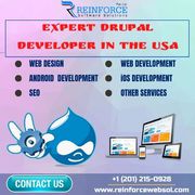 Expert Drupal Developers For Your Latest Web Project