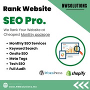 Digitized Business with SEO Pro. and Web Design company