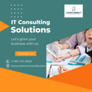 IT Consulting Solutions for Business | Everconnect